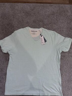 International Report Men's V-Neck Tee in Mint